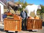 These are custom sheep and goat mounts made by Roger Britton from Britton taxidermy in Smithers B.C.
The base on the left is Cherry wood and the right one is made of Walnut.