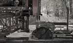 Sawmill in action.