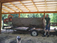 Highlight for album: Sawmill Photos